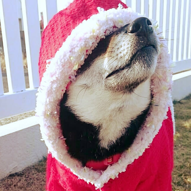 tsutawarimasuさんの実例写真