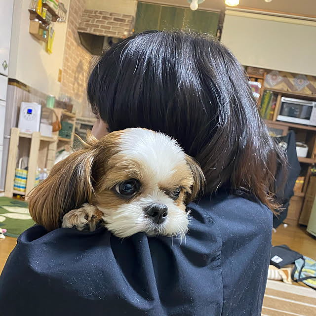 SHIHOさんの実例写真