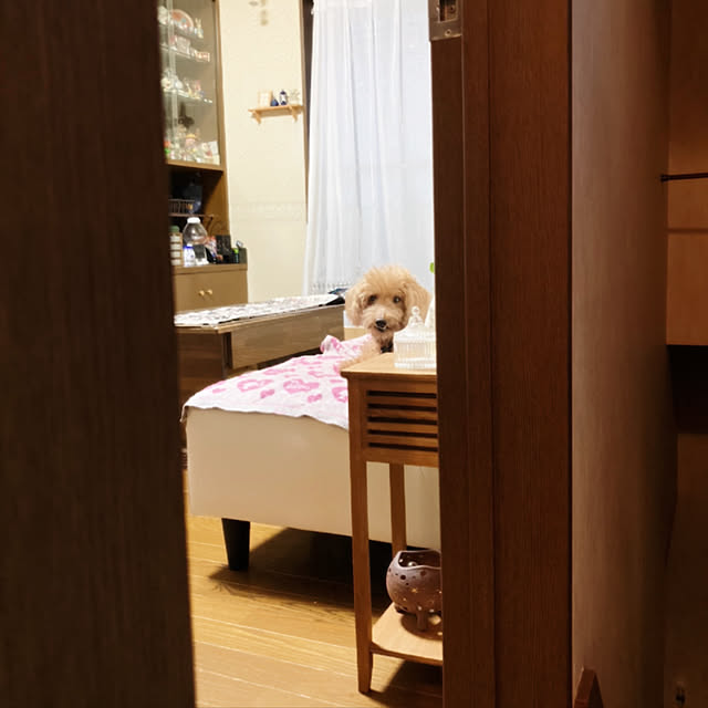 hirorinさんの実例写真