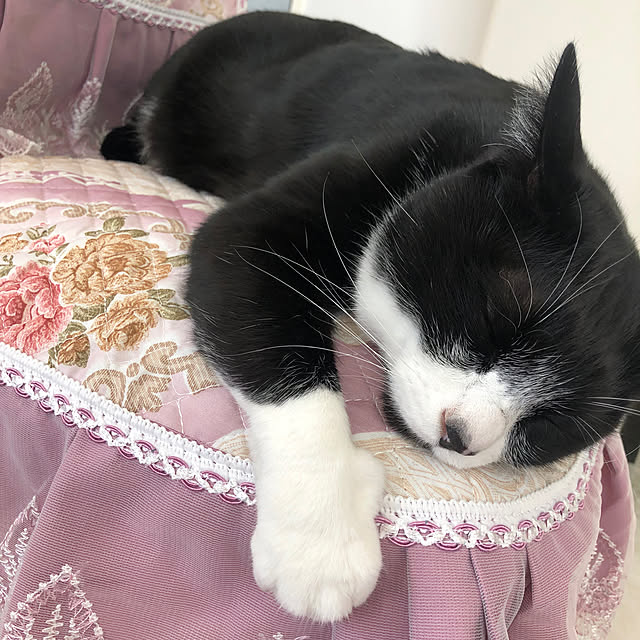 Fujikoさんの部屋
