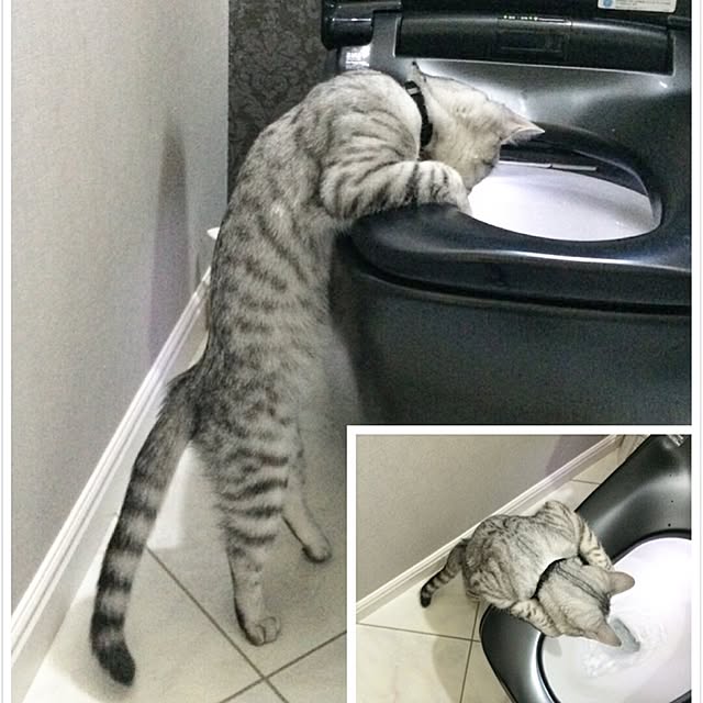 miiさんの実例写真