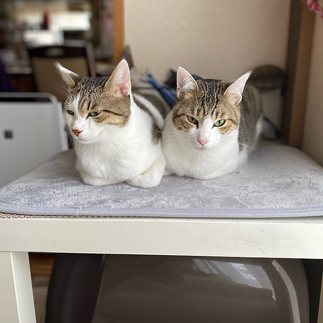 Lufuさんの実例写真