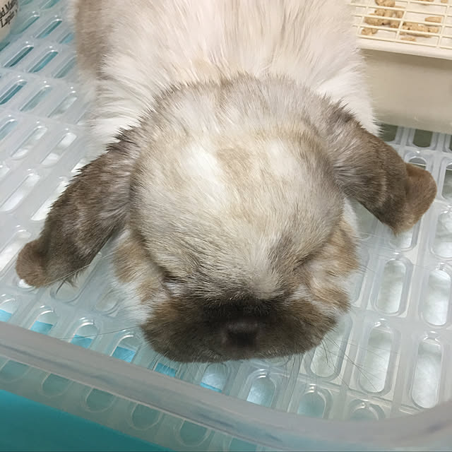 FUさんの実例写真