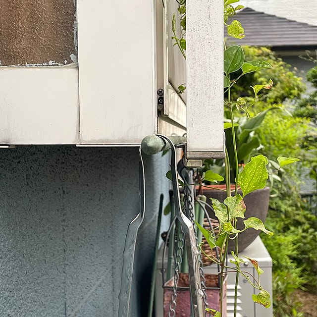 nobikoさんの部屋
