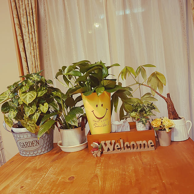 rikachakoさんの部屋