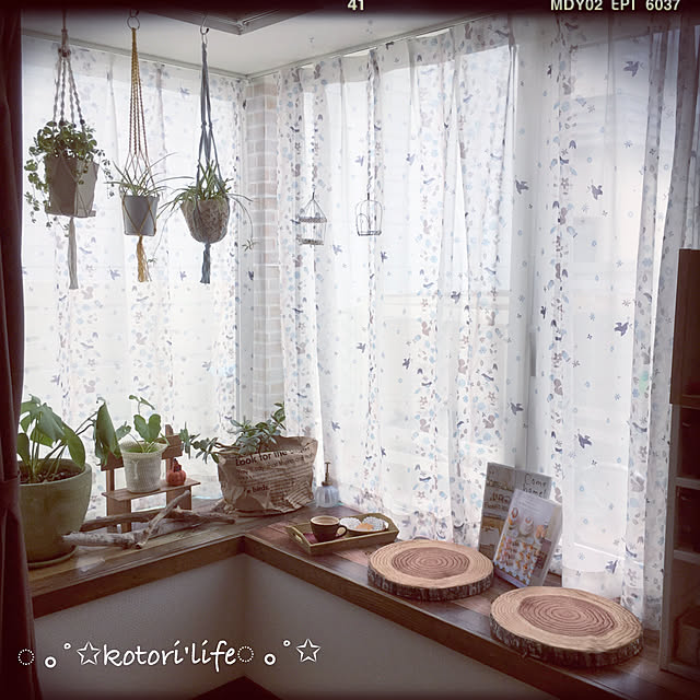 kotoriさんの実例写真