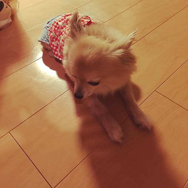 mikuさんの実例写真