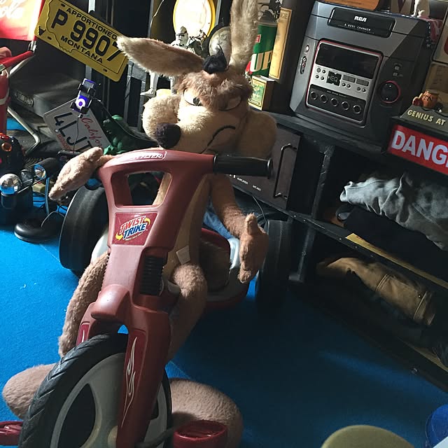 toyさんの実例写真