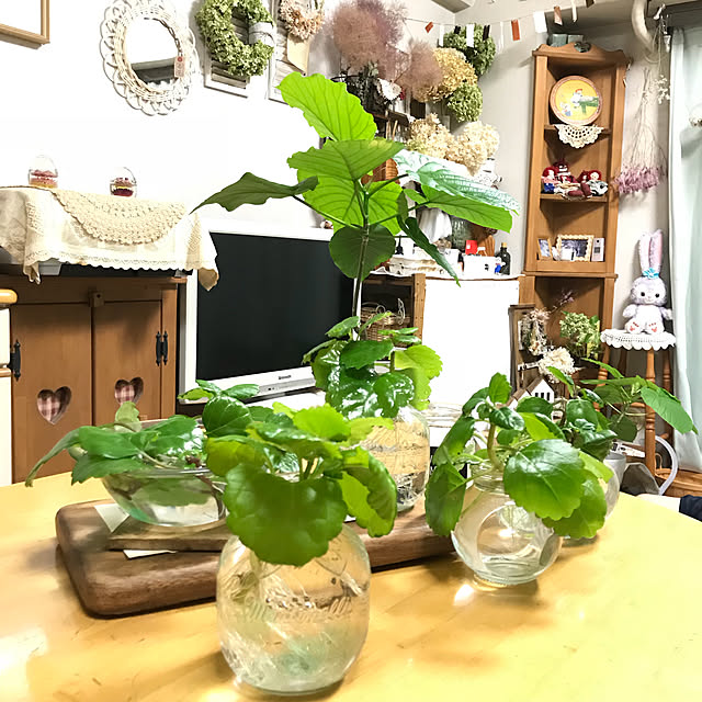 mockさんの実例写真