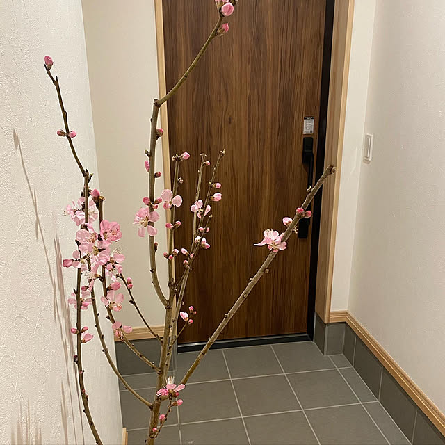 Risaさんの実例写真