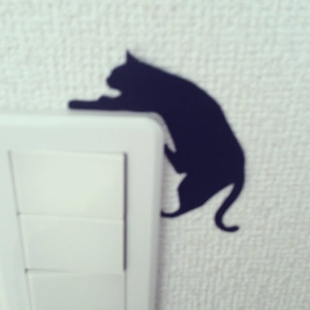 Shokoさんの実例写真