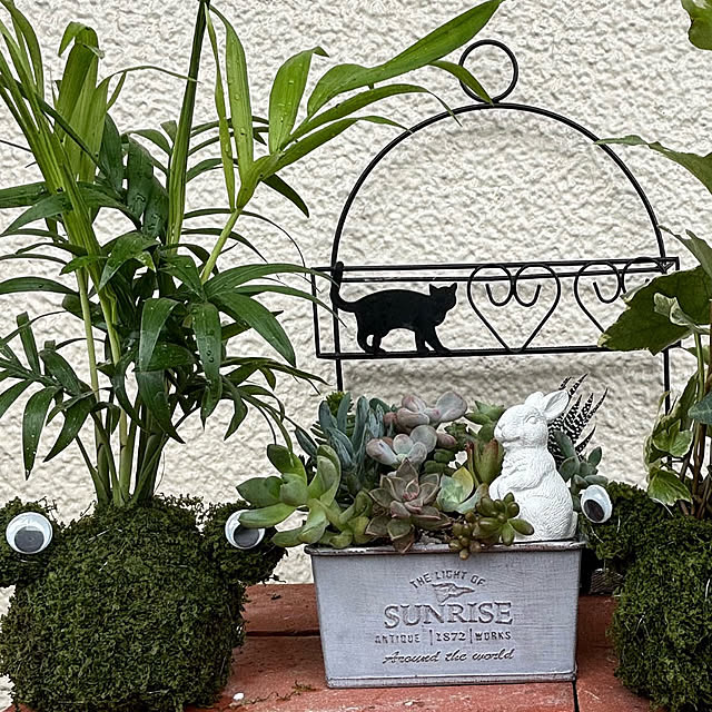 syutmmさんの部屋
