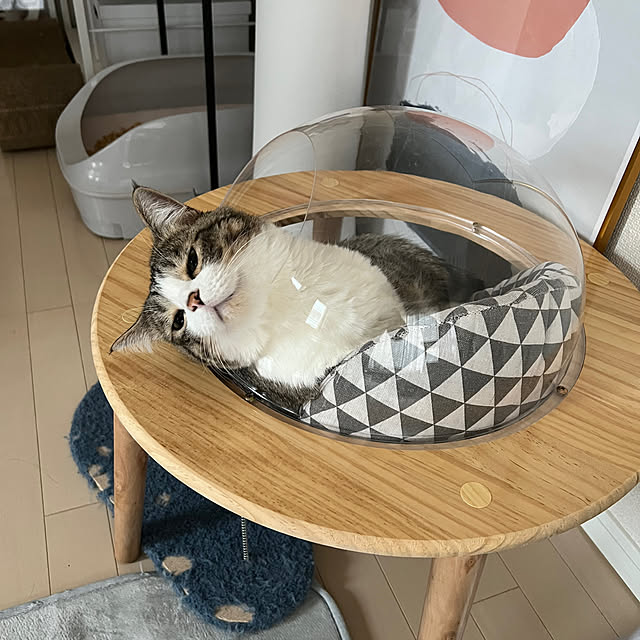 odashiさんの実例写真