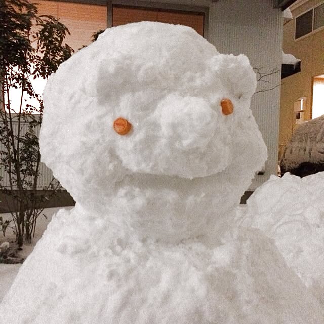 mossさんの実例写真