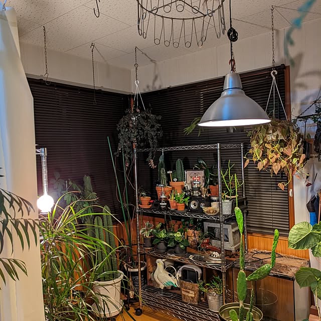 tikuwaさんの部屋