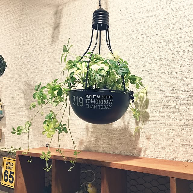 lunamamajunkoさんの実例写真