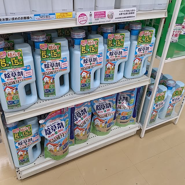 chiz3さんの部屋
