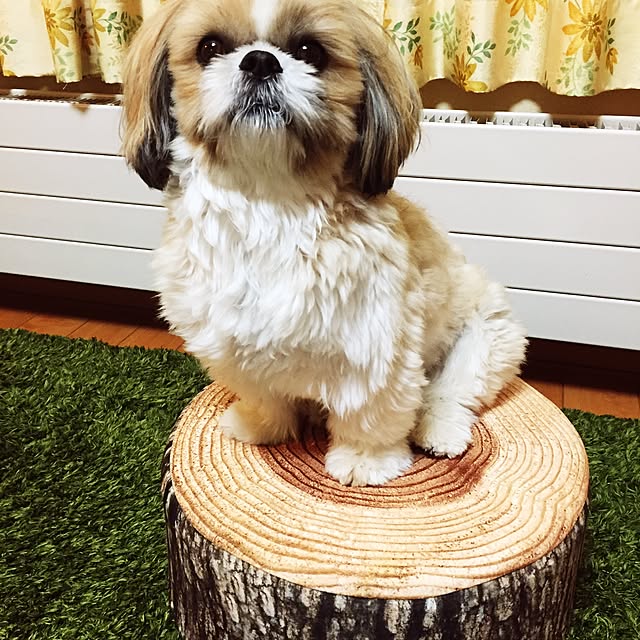 issei19maasa10さんの実例写真