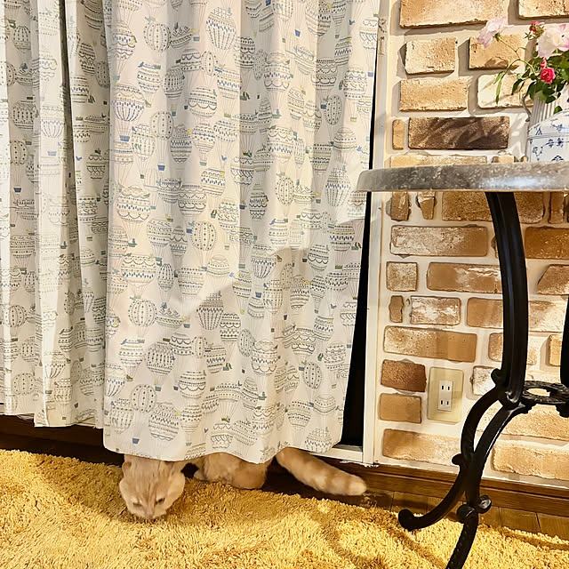 naokoさんの部屋