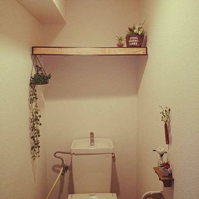 Saoriさんの実例写真