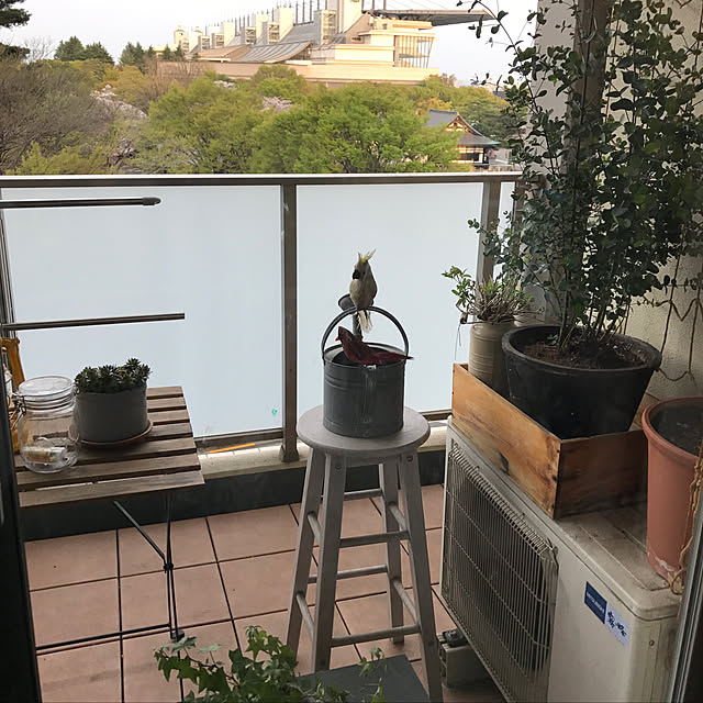 tacaco01180919さんの実例写真