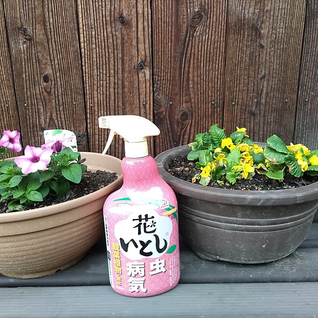 kuririnmamaさんの実例写真