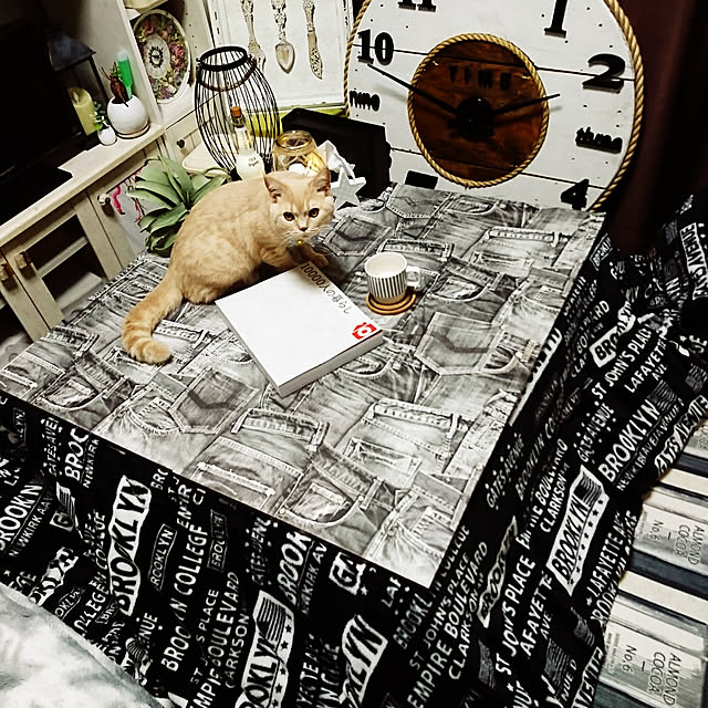 APPLAUSE.Kさんの実例写真