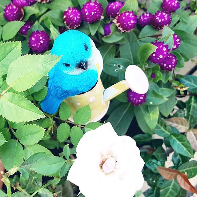 katさんの実例写真
