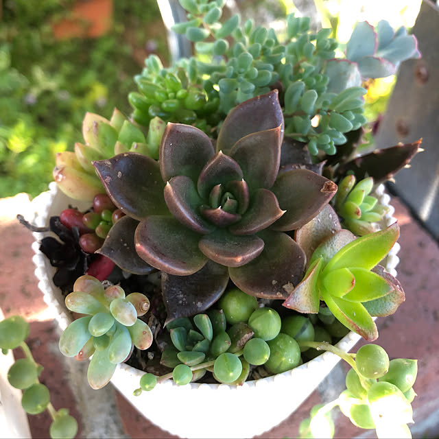 **yuu**さんの実例写真