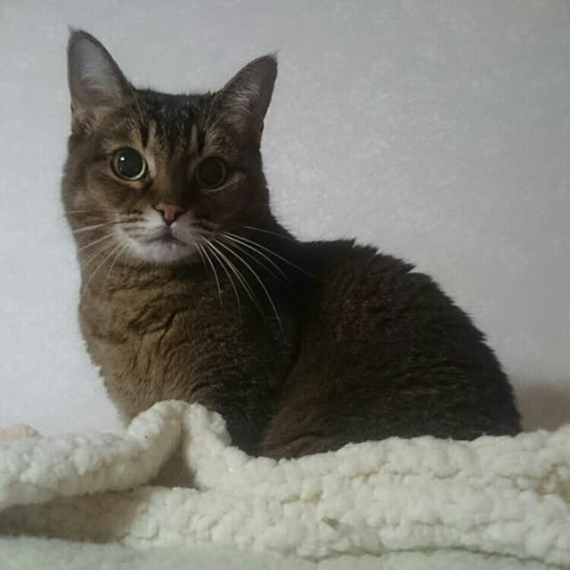 Ryoさんの実例写真