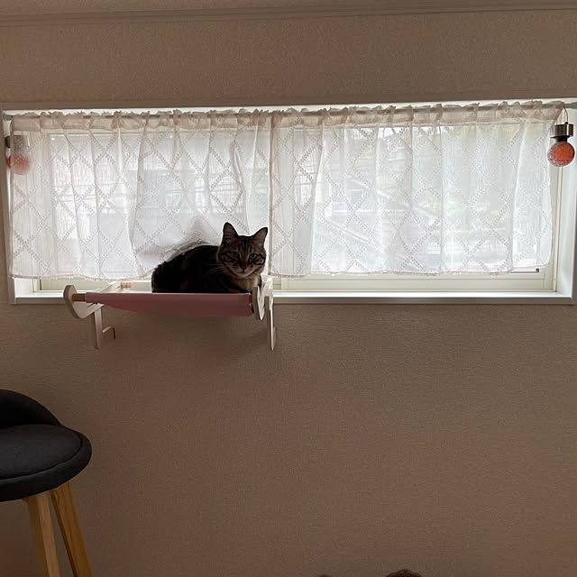 ruruさんの部屋