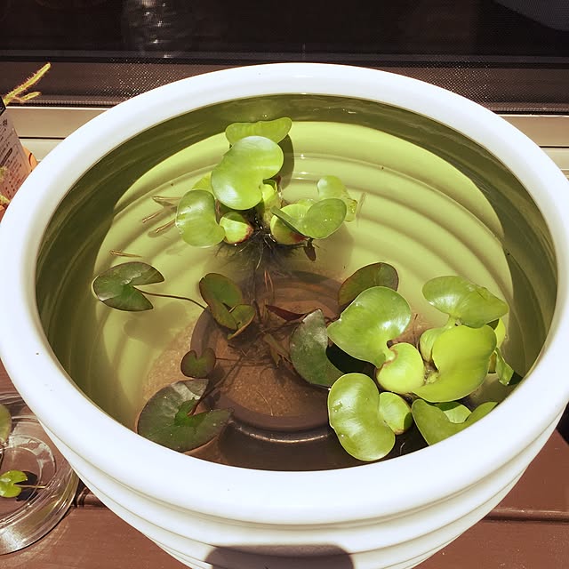 ecoさんの実例写真