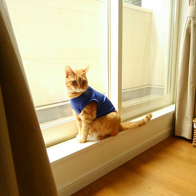 mayutan.さんの実例写真
