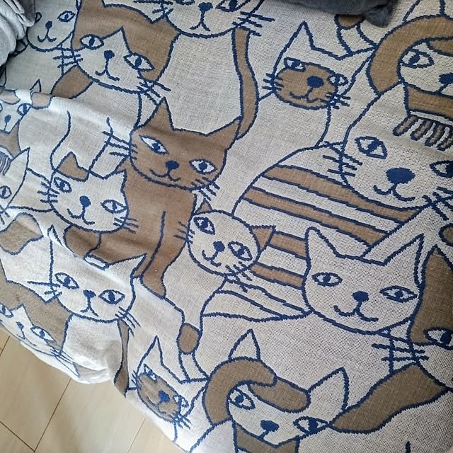 mi-saさんの実例写真