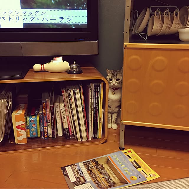 Shojiさんの実例写真