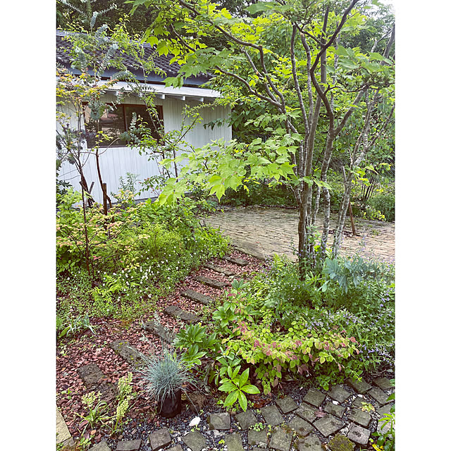 玄関/入り口/庭づくり/庭DIY/庭 DIY/庭いじりが好き...などのインテリア実例 - 2025-06-07 14:16:52