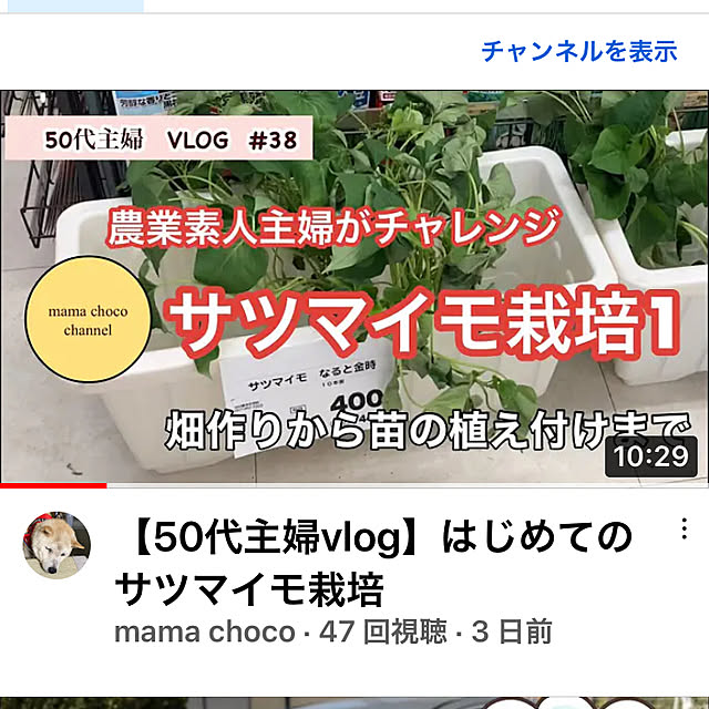 yumomitoさんの実例写真