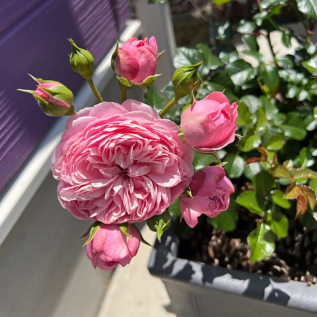 AYUKOさんの部屋