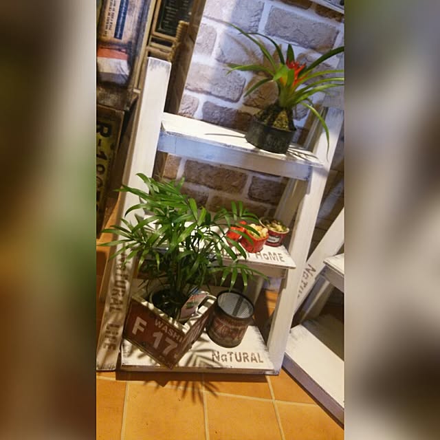 riesanchiさんの実例写真