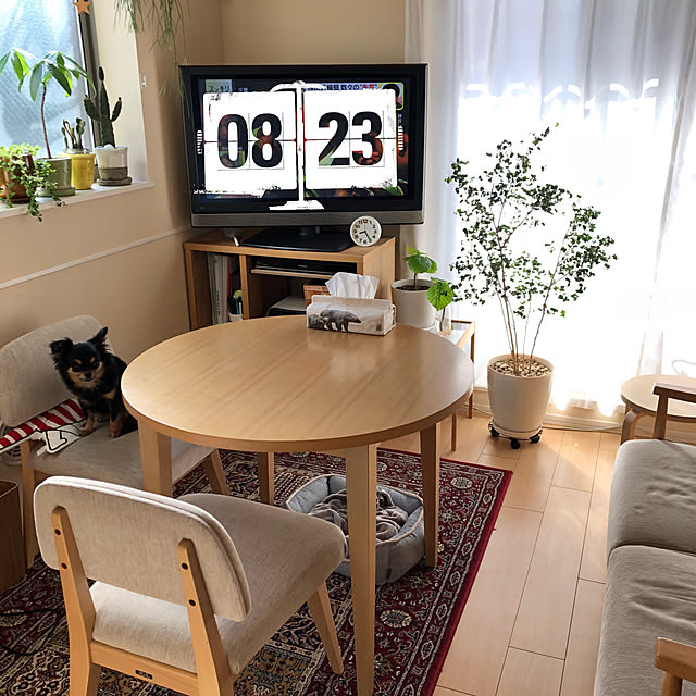kotahiguさんの実例写真