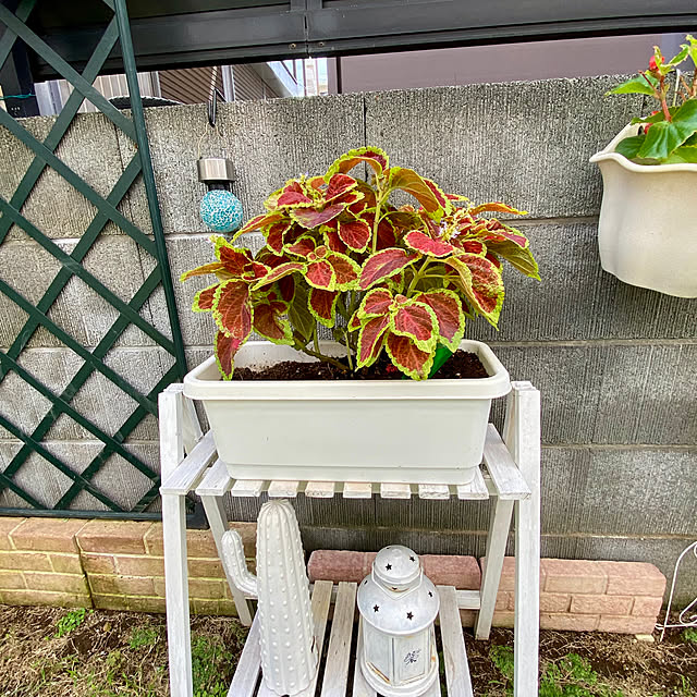 YuuKoさんの部屋