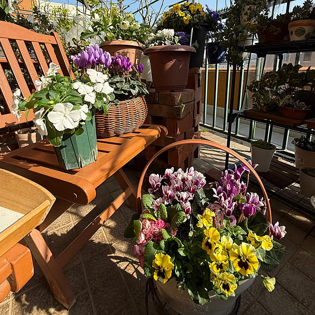 Aqettyさんの部屋