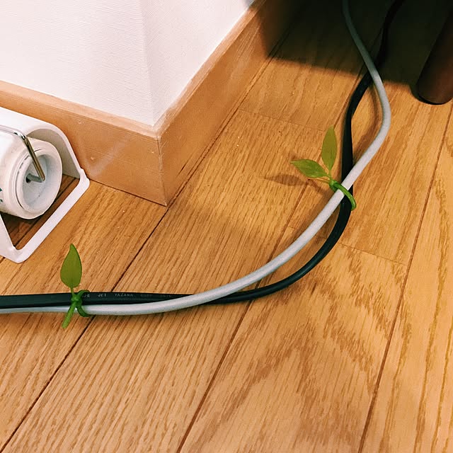 Ricoさんの実例写真