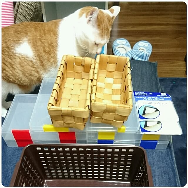 porinさんの実例写真