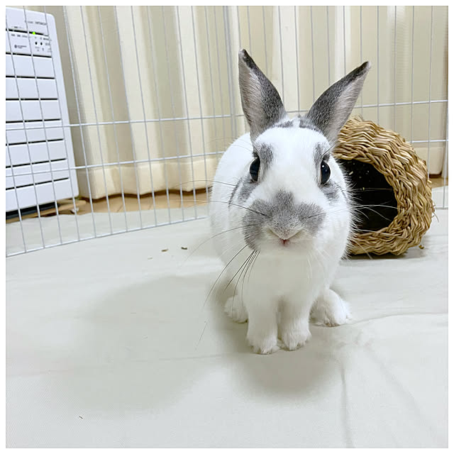 ksfioriさんの部屋