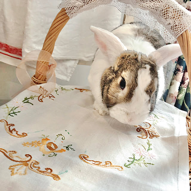 Hatsuneさんの部屋