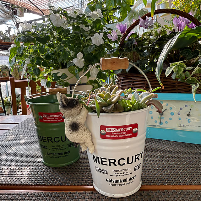 Aqettyさんの部屋