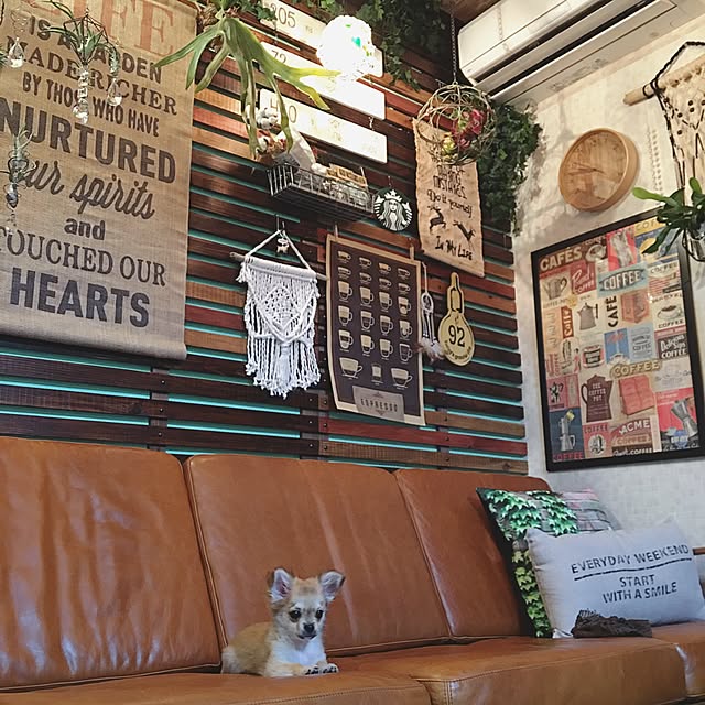 ANNAさんの実例写真