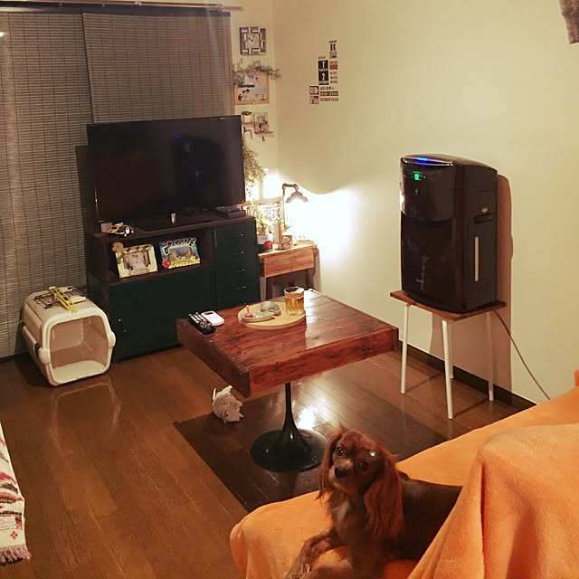 部屋全体のインテリア実例 - 2015-12-26 22:04:54