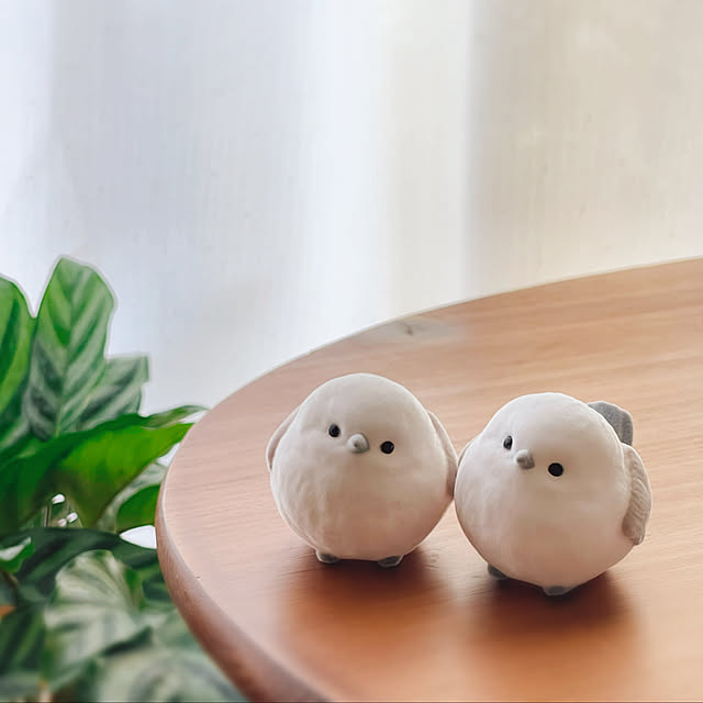 miechuraさんの部屋